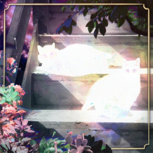 Scary Jokes - Retinal Bloom