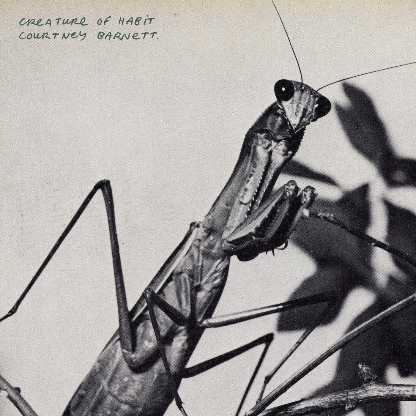 Courtney Barnett - Creature Of Habit (Iex)