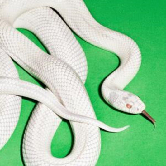 Deftones - Private Music