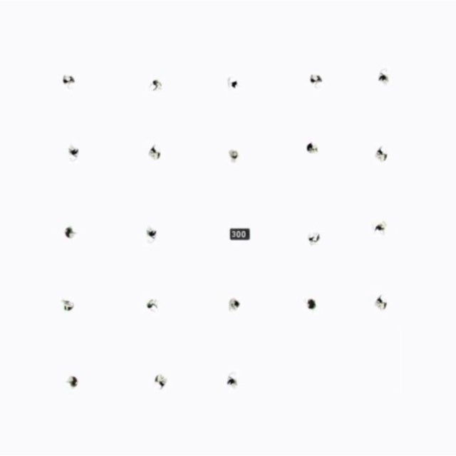 Durian Brothers / Ensemble Skalectrik - Split Series 22