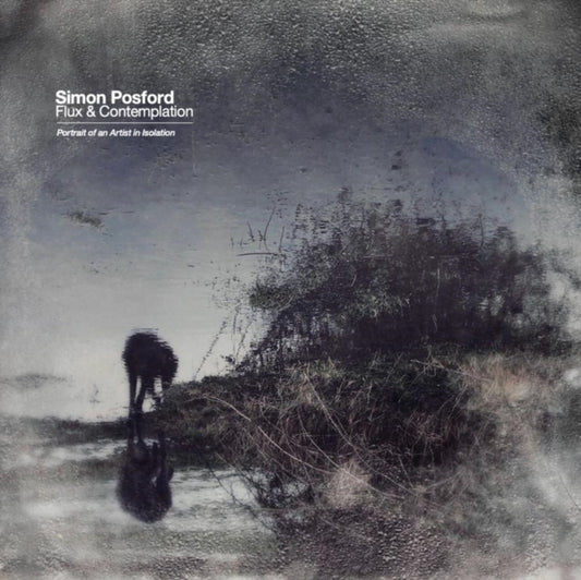 Simon Posford - Flux & Contemplation: Portrait Of An Artist In