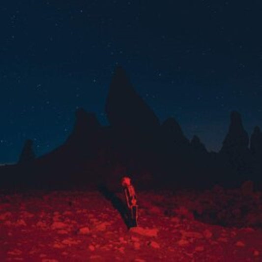 Phoebe Bridgers - Punisher