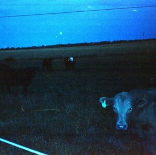 Waveform* - Antarctica - Dark Blue