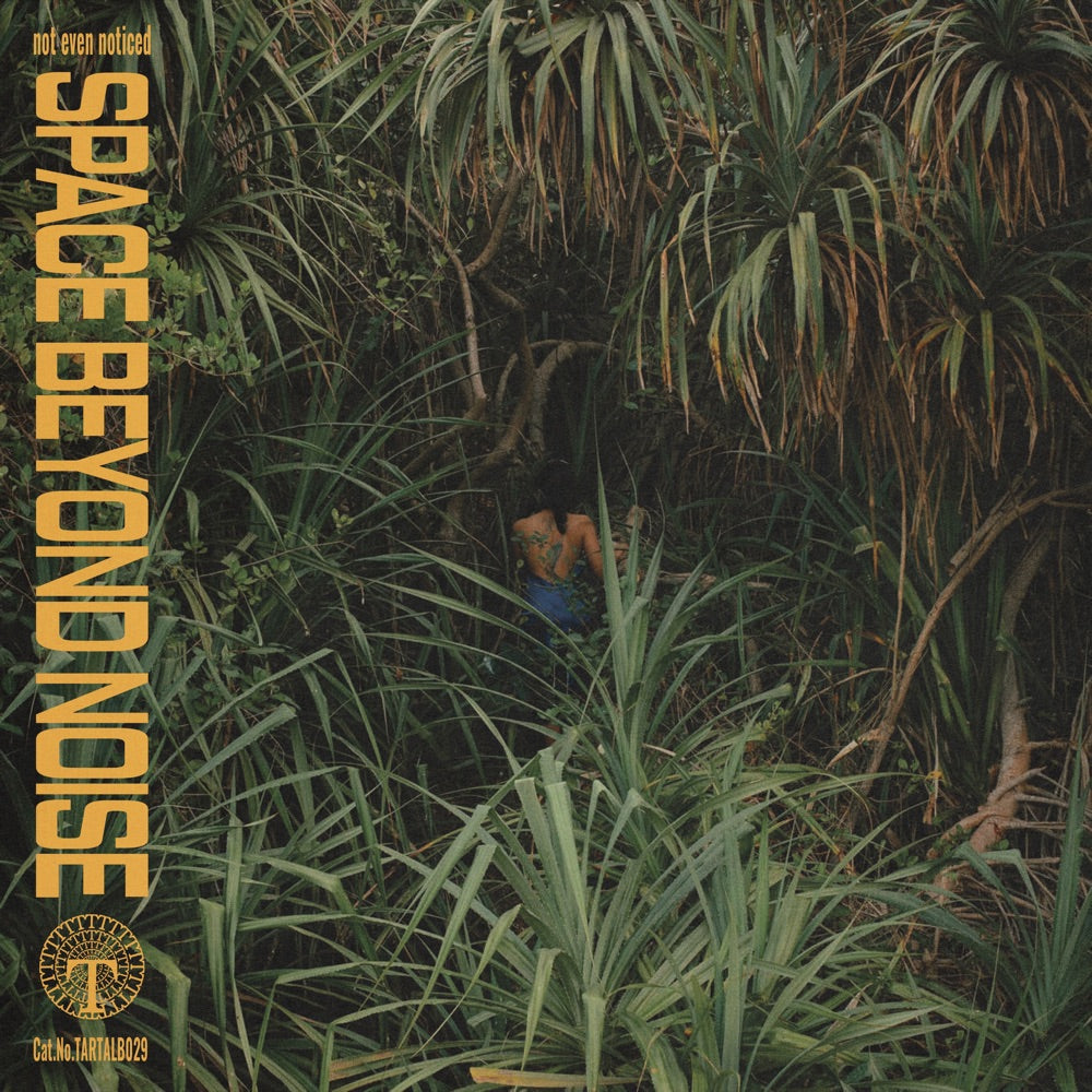 Not Even Noticed - Space Beyond Noise
