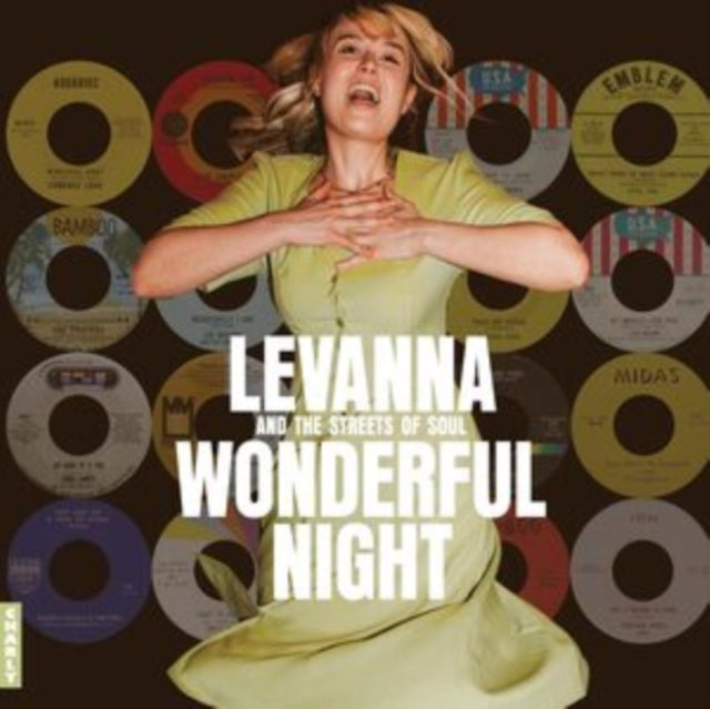 Various - Wonderful Night Curated By Levanna