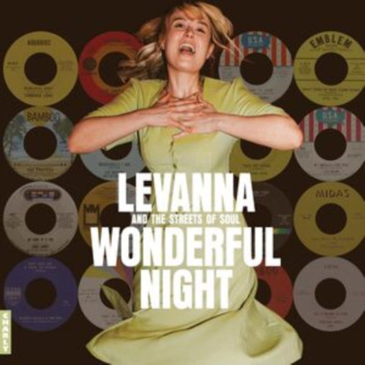 Various - Wonderful Night Curated By Levanna