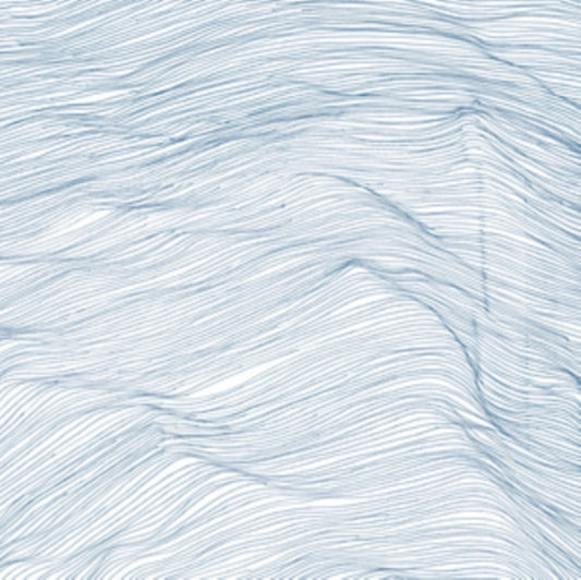 Qasim/Smith,Wadada Leo/Cyrille,Andrew Naqvi - Two Centuries