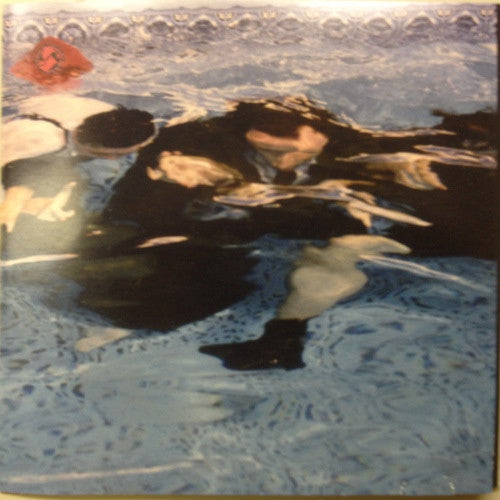 King G & The J Krew - Indestructible Songs Of The Humpback Whale