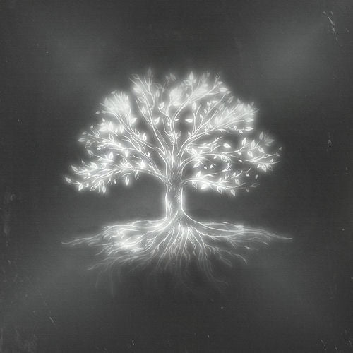 Nil Moliner - Nexo - Transparent Glow In The Dark Vinyl
