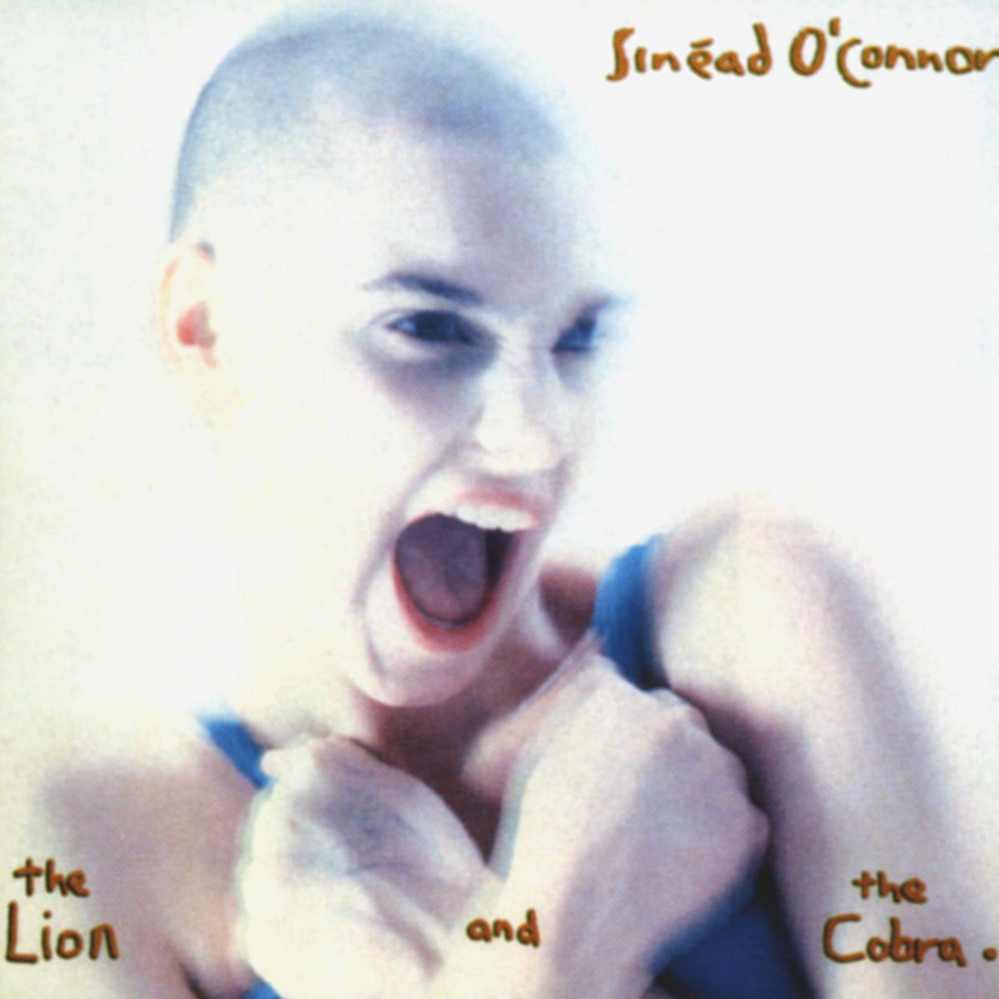 Sinead O'Connor - Lion & The Cobra