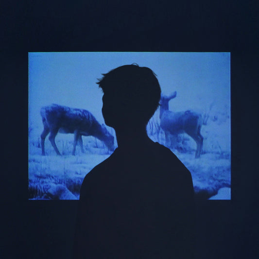Jumo - Memory